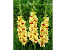 ��������� ������� 90�.jpg