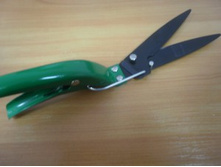 ������� ��� 863 - ������� 155�.JPG