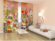 02035 ������� �����.jpg