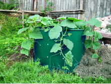 ������� ����������� ����� ��� ���������)