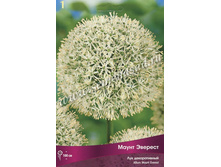 ��� �����. ����� �������.jpg