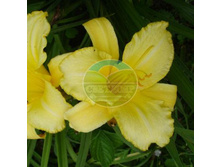 �������� ��� �����.jpg