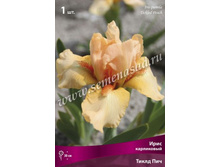 ���� ���������� ����� ���.jpg