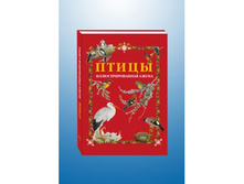 �����. ���������������� ������.jpg