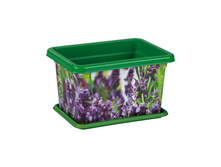 ����� �������.2�. ������� �-3089 57�.jpg