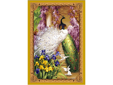 �������� ���� (140�210).jpg