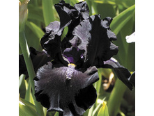 ���� ���� ���� 130,8�