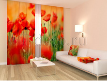 02034 ������� ����.jpg