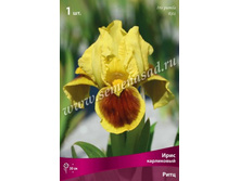 ���� ���������� ����.jpg