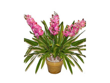 �90*3/��/33 - 3500