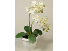 �� 22*2/33 - 220