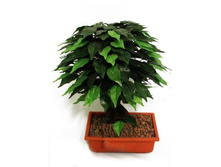 �� 40/09�� - 2353