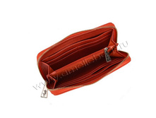 B1003 - ����� - 565.jpg