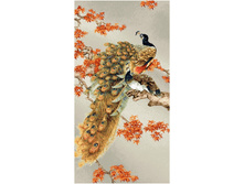 ������� ���� (100�50).jpg