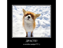 a0531bdeddd014388338d345bd699764.jpg