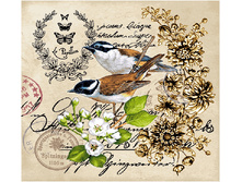 ����� (�������, �������).jpg