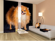 01224 ������ ����.jpg