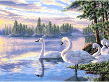 �������� ���� (145�70).jpg