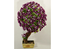 ��60/��/90 - 3263