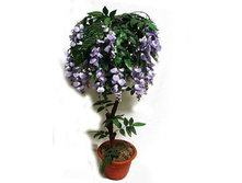 ��100/22� - 2500