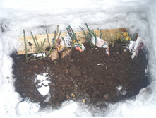 �������� ������ ��� ������ (�������� � ��������, ���� ��� ������� �������������� ��������� ).jpg