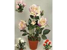 ��42/02 - 835 - ������ 25%