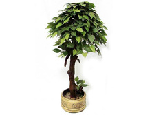 �� 55/09� - 2200