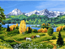 ����� ����