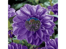 �������� ������� ������.png