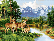 ��� ����� (220�140).jpg