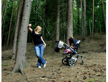 ���� ������� 10.jpeg