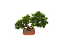 ��/45 /3�(�) - 2874