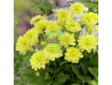 �������� ��������� ������.png