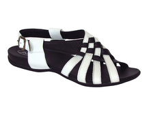 023 ���� �����-�����.