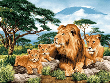 ����������� ���� (108�70).jpg