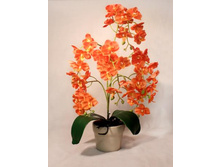 �� 55*2/33 - 1100