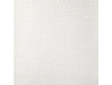 ����� ������� ��������