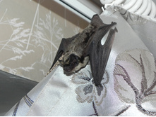 ������� (24).JPG