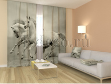 01106 ��������� ����.jpg