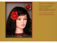 ����� ���� Passion.JPG