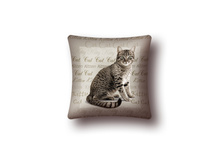 ������ (���).jpg