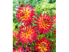 �������� ���� ���� 90�