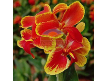 ����� ������. �������� �����.jpg