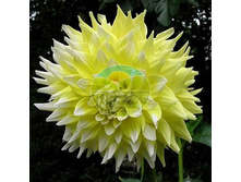 �������� ���� ���.jpg