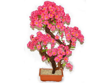 ��70/4�/46� - 2500