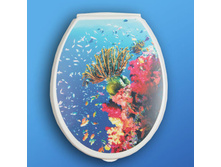 ���� 295�.jpg