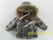 IMG_3464 (����������).jpg