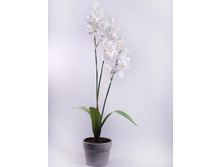 �� 70/124 - 550 ������ 25%