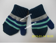 DSCN9528 (����������).jpg