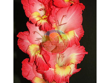 ��������� ����� 12.jpg